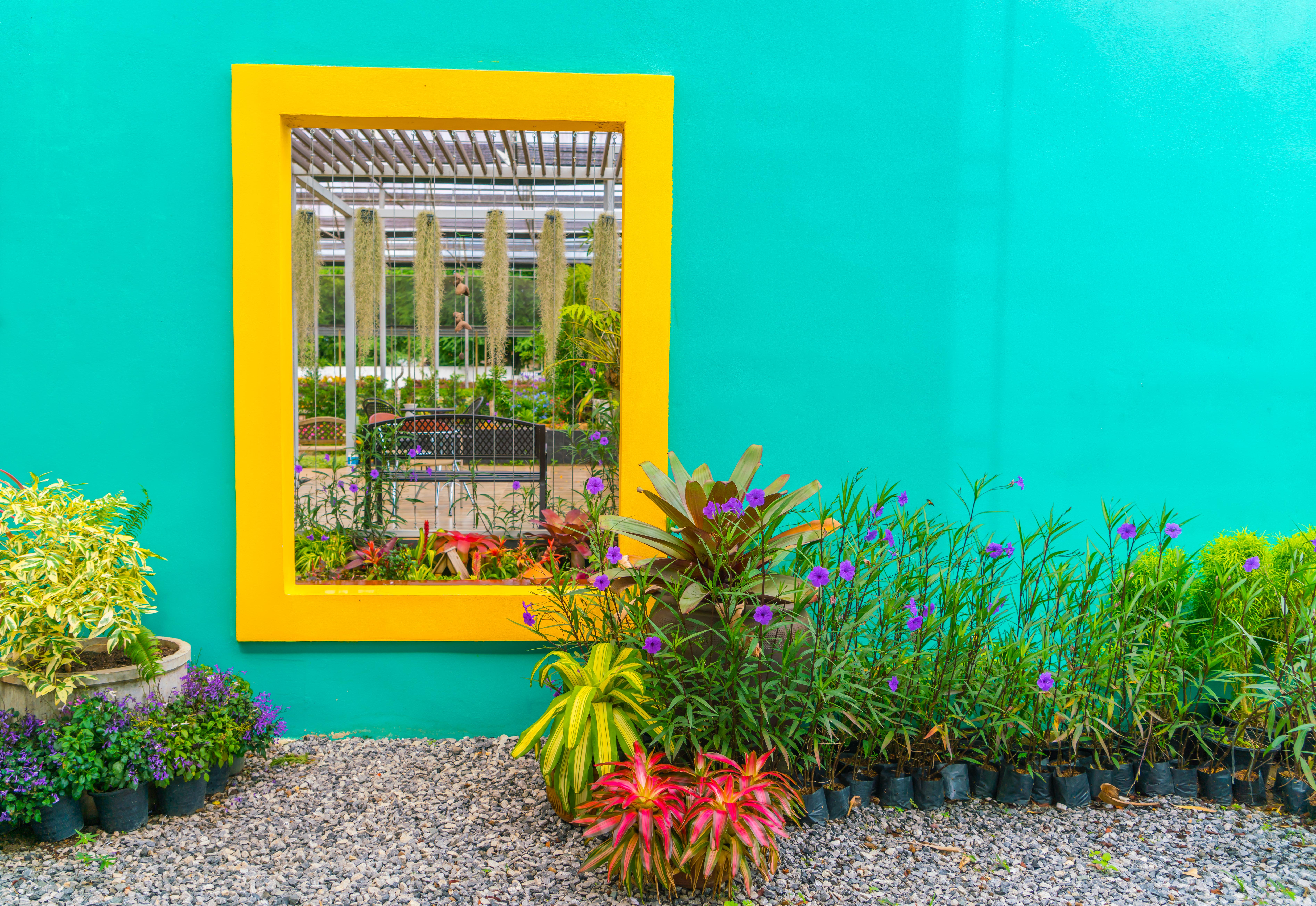 Tendințele anului 2019 – ce culori alegi pentru pe...